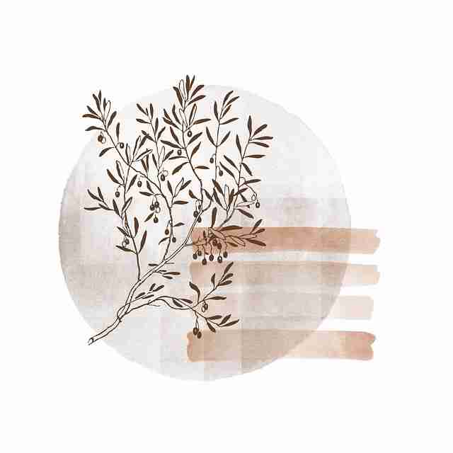 鉴黄师免费观看标签系统更新详解｜内容审核机制迭代分析维度拆分更清晰